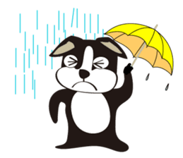 boschee of the Boston terrier sticker #3336918