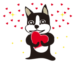 boschee of the Boston terrier sticker #3336921