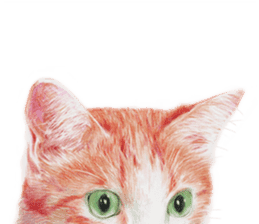 Colored pencil Cat sticker sticker #3343451