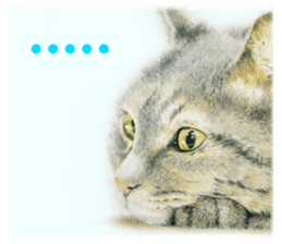 Colored pencil Cat sticker sticker #3343452