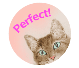 Colored pencil Cat sticker sticker #3343469