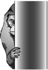 RARIGO of a gorilla sticker #3343847