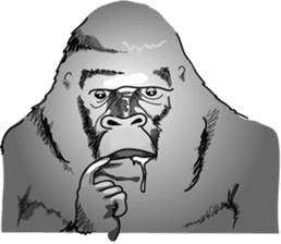RARIGO of a gorilla sticker #3343848