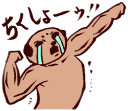 muscle sticker #3345507