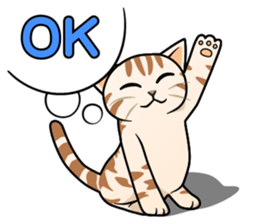 Manma cat (American Short, Cameo tabby) sticker #3346530