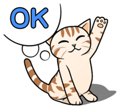 Manma cat (American Short, Cameo tabby) sticker #3346530