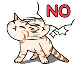 Manma cat (American Short, Cameo tabby) sticker #3346531