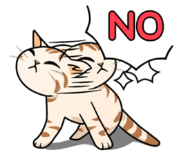 Manma cat (American Short, Cameo tabby) sticker #3346531