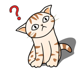 Manma cat (American Short, Cameo tabby) sticker #3346532