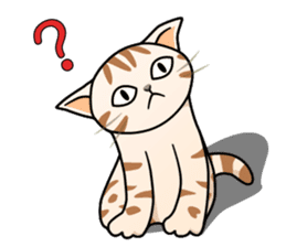 Manma cat (American Short, Cameo tabby) sticker #3346532