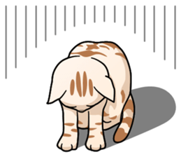 Manma cat (American Short, Cameo tabby) sticker #3346535