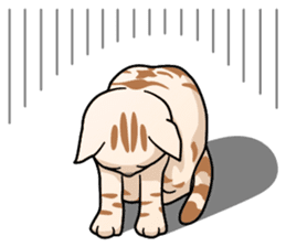 Manma cat (American Short, Cameo tabby) sticker #3346535