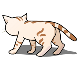 Manma cat (American Short, Cameo tabby) sticker #3346546