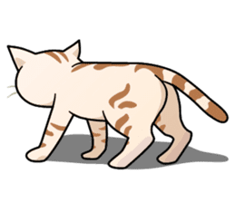 Manma cat (American Short, Cameo tabby) sticker #3346546