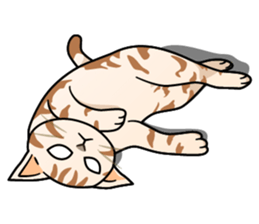 Manma cat (American Short, Cameo tabby) sticker #3346548
