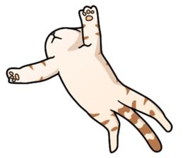 Manma cat (American Short, Cameo tabby) sticker #3346549