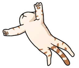 Manma cat (American Short, Cameo tabby) sticker #3346549