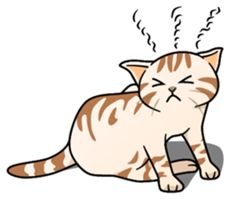 Manma cat (American Short, Cameo tabby) sticker #3346554