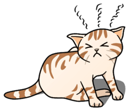 Manma cat (American Short, Cameo tabby) sticker #3346554