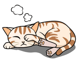 Manma cat (American Short, Cameo tabby) sticker #3346556