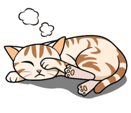 Manma cat (American Short, Cameo tabby) sticker #3346556