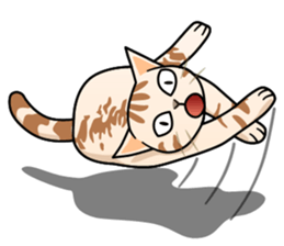 Manma cat (American Short, Cameo tabby) sticker #3346557