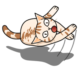 Manma cat (American Short, Cameo tabby) sticker #3346557