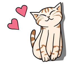 Manma cat (American Short, Cameo tabby) sticker #3346559