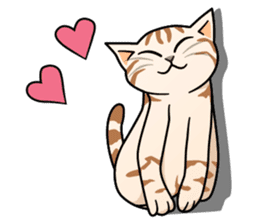 Manma cat (American Short, Cameo tabby) sticker #3346559