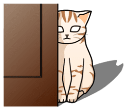 Manma cat (American Short, Cameo tabby) sticker #3346561