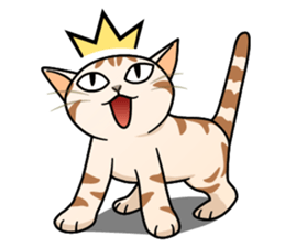 Manma cat (American Short, Cameo tabby) sticker #3346562