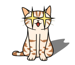 Manma cat (American Short, Cameo tabby) sticker #3346563