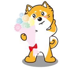 Mameshiba Sticker Gon Samurai sticker #3349837