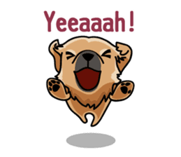 Gestures of dog (English version) sticker #3354947