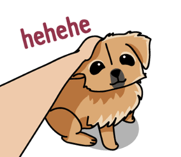 Gestures of dog (English version) sticker #3354952