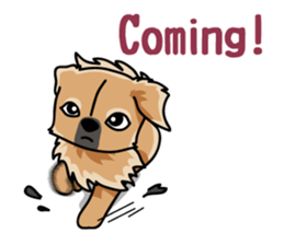 Gestures of dog (English version) sticker #3354966