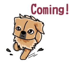 Gestures of dog (English version) sticker #3354966