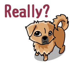 Gestures of dog (English version) sticker #3354982