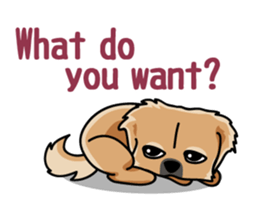 Gestures of dog (English version) sticker #3354983
