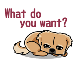 Gestures of dog (English version) sticker #3354983