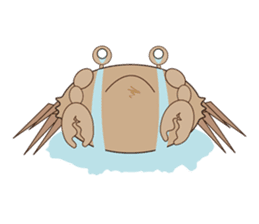 Humor crab sticker #3356551