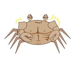 Humor crab sticker #3356572