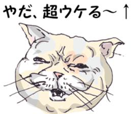 View of Neko Professor sticker #3357508