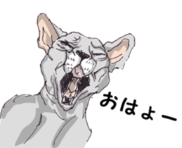 View of Neko Professor sticker #3357510