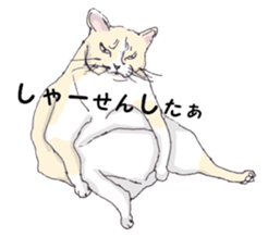 View of Neko Professor sticker #3357512