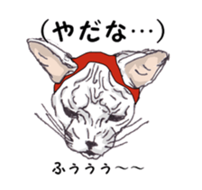 View of Neko Professor sticker #3357515