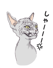 View of Neko Professor sticker #3357523