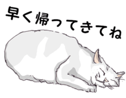 View of Neko Professor sticker #3357540