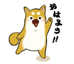 Shiba-Inu KOTAN sticker #3358106