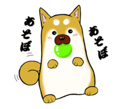 Shiba-Inu KOTAN sticker #3358108
